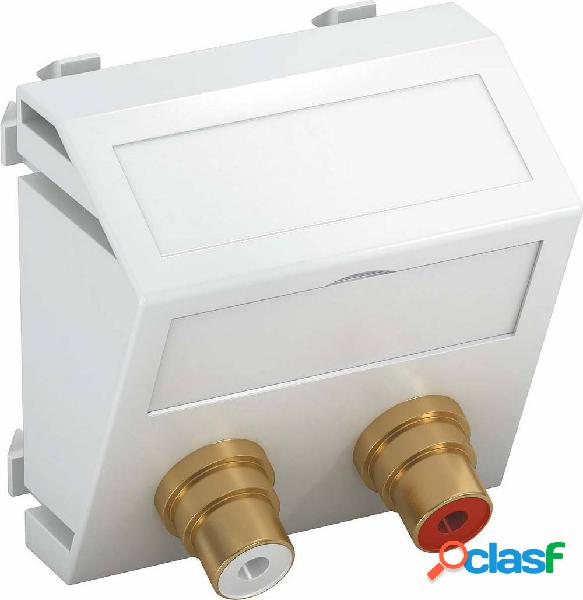 OBO Bettermann 6105060 Coperchio Supporto per modulo