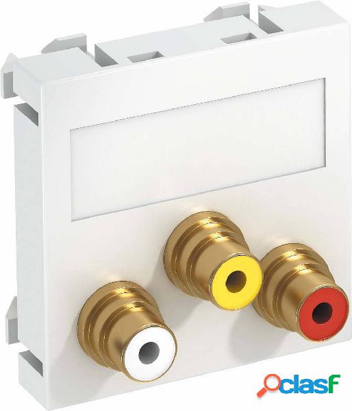 OBO Bettermann 6105165 Coperchio Supporto per modulo