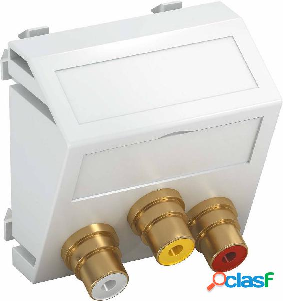 OBO Bettermann 6105180 Coperchio Supporto per modulo