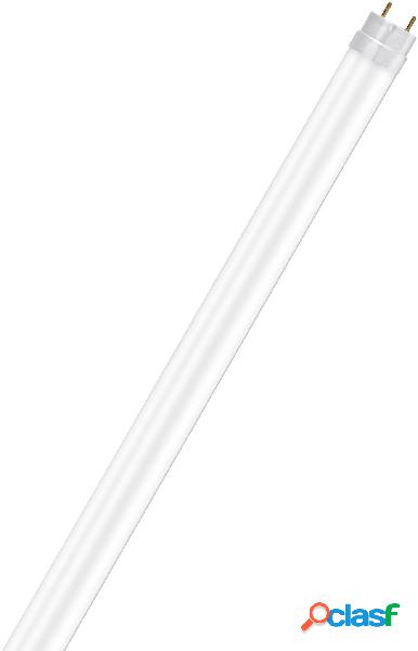 OSRAM 4058075292451 LED (monocolore) ERP A++ (A++ - E) G13