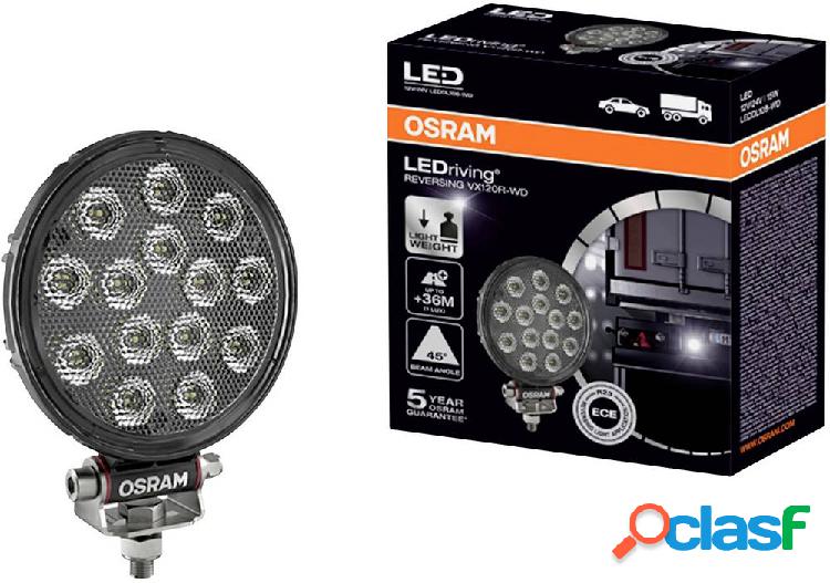 Osram Auto Luce retromarcia 12 V, 24 V LEDriving Reversing