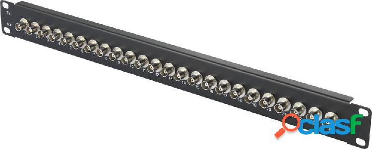 Patch panel BNC Renkforce 24 Porte 19 U