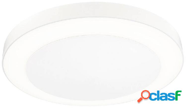 Paulmann Circula 94528 Lampada LED da parete per esterno con