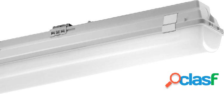 Pracht Lampada LED impermeabile LED (monocolore) 52 W Bianco