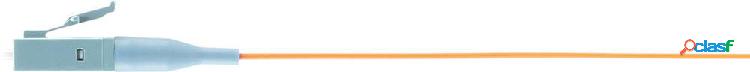 Renkforce RF-3909400 Pigtail a 12 colori 1 pz.