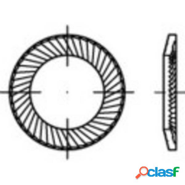 Rondelle dentellate 16 mm 24 mm Acciaio armonico zincato 100