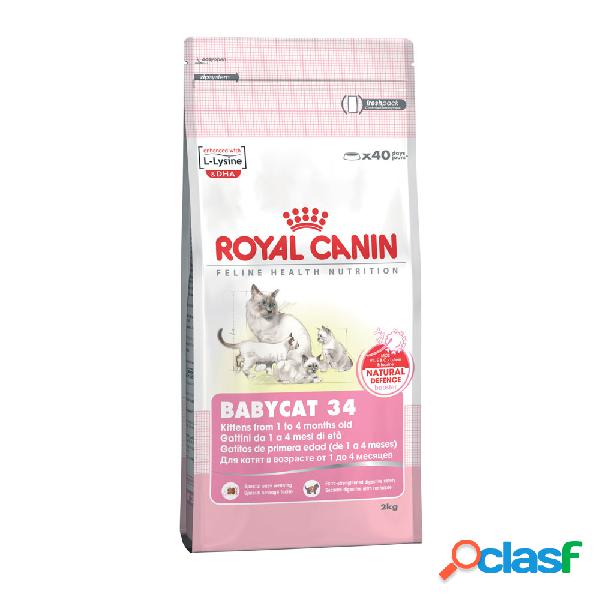 Royal Canin Cat Adult e Kitten Mother and Babycat 2 kg