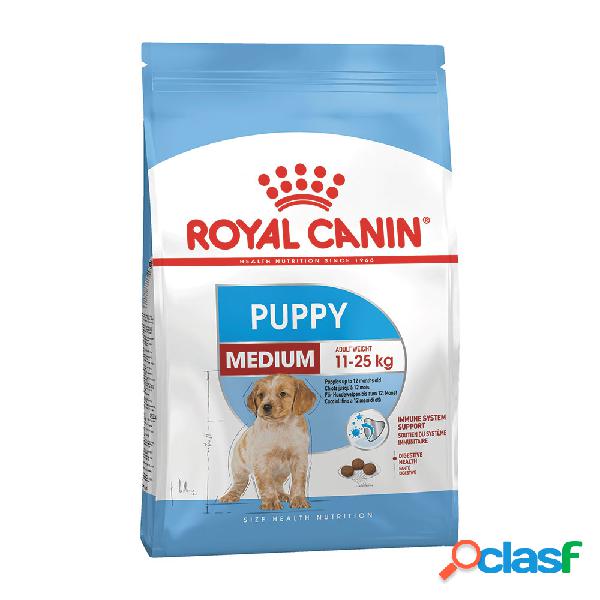Royal Canin Dog Medium Puppy 4 kg