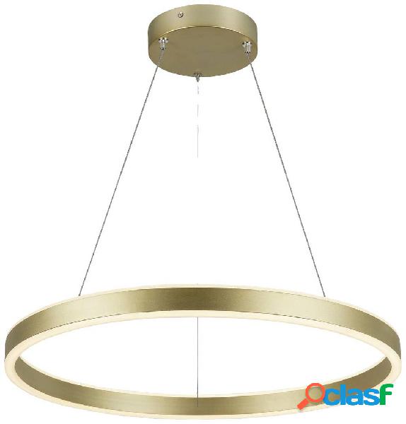 SLV ONE 60 1005177 Lampada a sospensione LED a montaggio