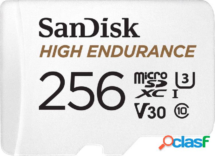SanDisk High Endurance Monitoring Scheda miniSDXC 256 GB