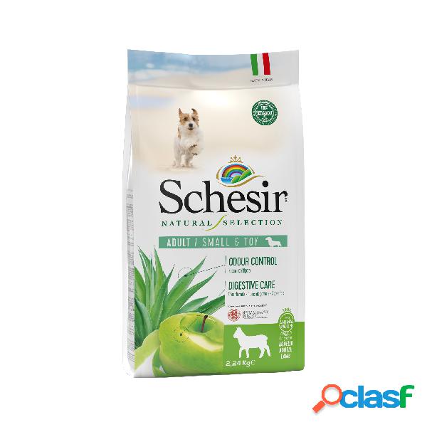 Schesir Natural Selection Dog ricco in agnello 2,24 kg