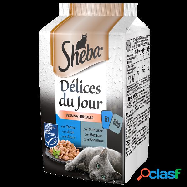 Sheba Cat Delice du Jour tonno e salmone in gelatina 6x50 gr