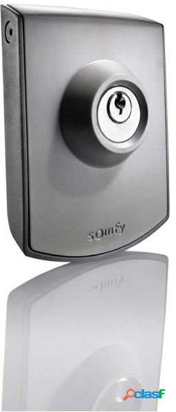 Somfy 2400597 Pulsante a chiave per apricancelli IP54