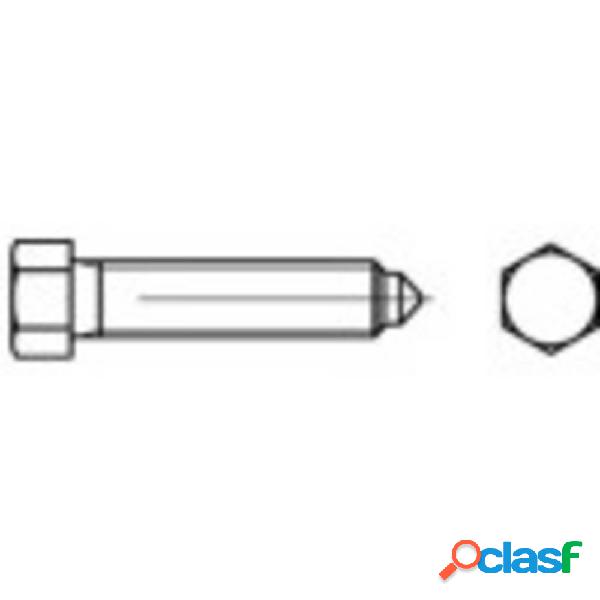 TOOLCRAFT 109121 Viti testa esagonale M20 100 mm Esagonale