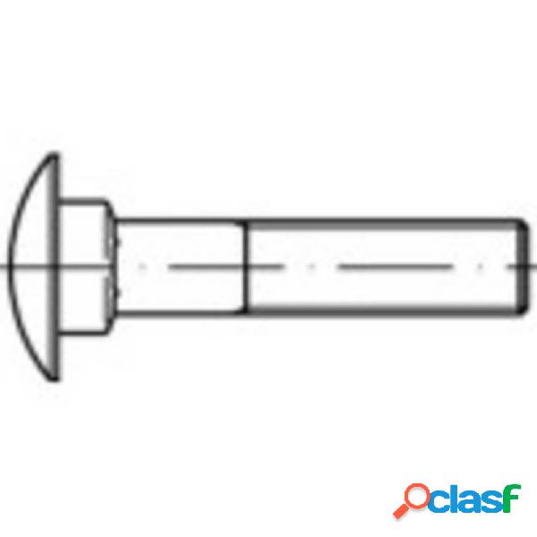 TOOLCRAFT 111548 Bullone a testa tonda M8 40 mm Quadrato DIN