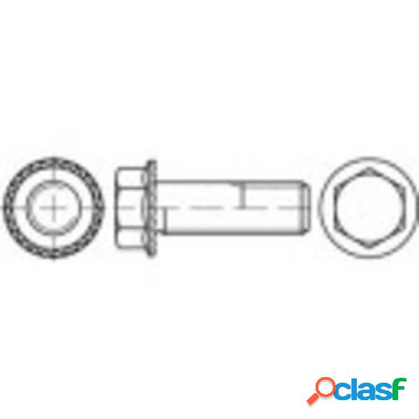 TOOLCRAFT 161392 Viti di bloccaggio M10 16 mm Esagonale