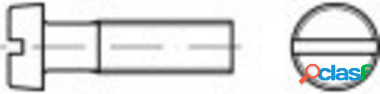 TOOLCRAFT 84T06,0X085 TO-6606096 Viti cilindriche M6 85 mm