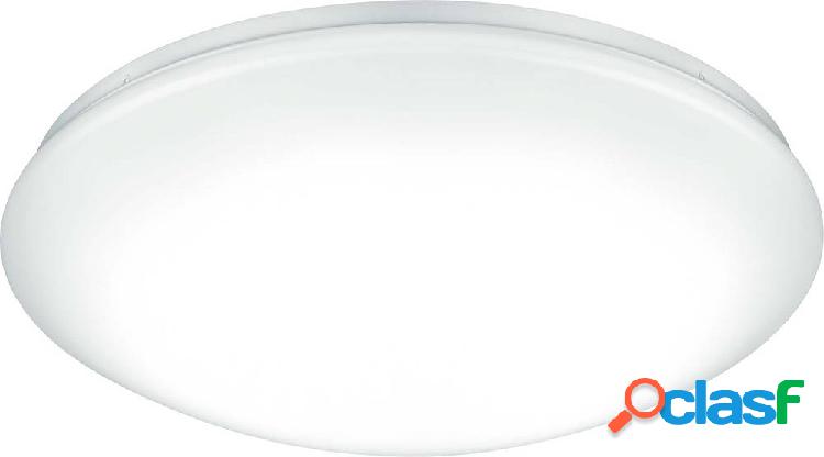 Thorn ECO LENA VARIO 96631864 Lampada da parete a LED 21 W