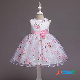 Toddler Little Dress Girls' Floral Tulle Dress Print