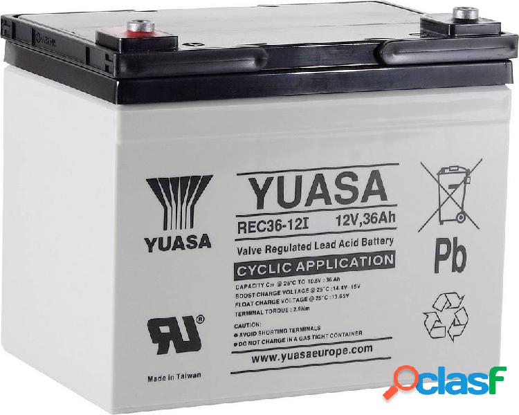 Yuasa REC36-12 YUAREC3612 Batteria al piombo 12 V 36 Ah