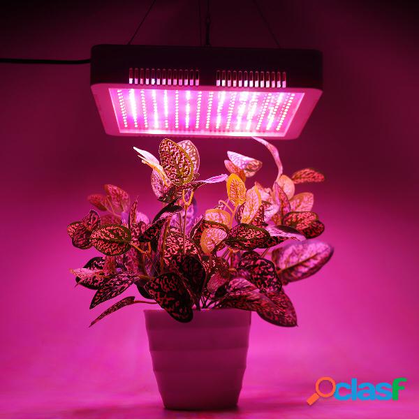 240 LED Pianta Grow Light Veg Bloom lampada Serra da interno