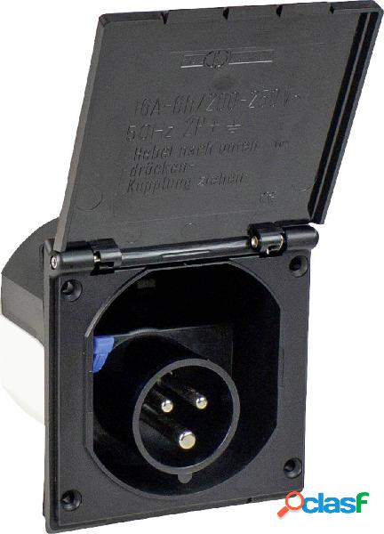 AS Schwabe 61493 Connettore maschio CEE 16 A 230 V 1 pz.