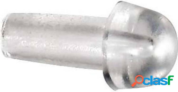 Brumberg 975100 Elementi di uscita