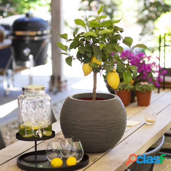 Capi Vaso Nature Rib Rotondo 40x32 cm Grigio Scuro