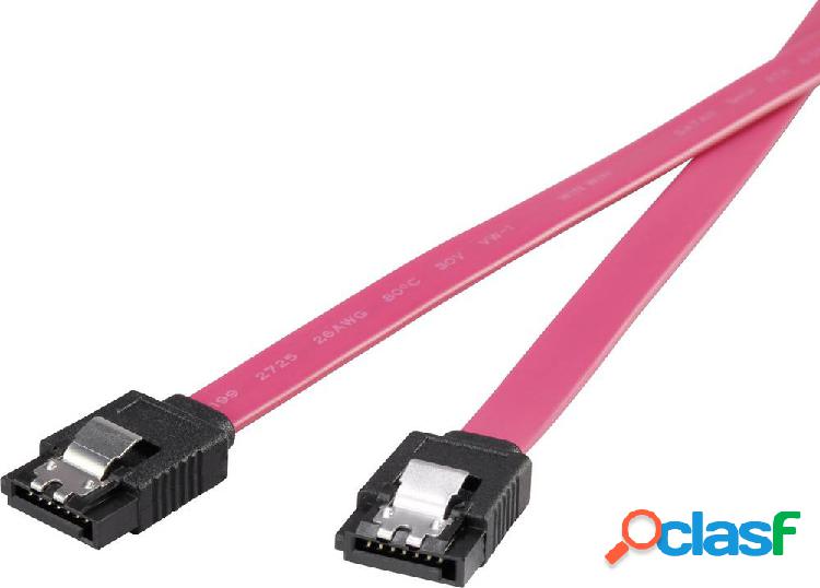 Cavo Hard Disk Renkforce [1x Presa SATA a 7 poli - 1x Presa