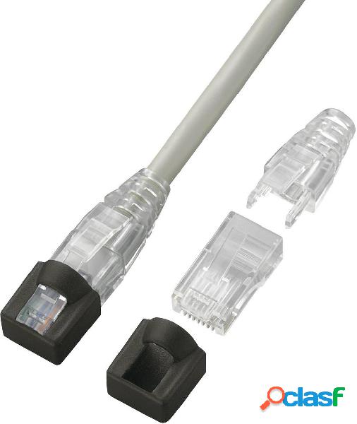 Connettore RJ45, spina trasparente, dritta, poli: 8P8C RJ45