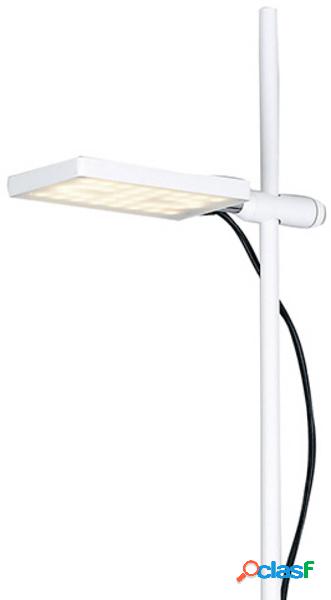 ECO-Light LED-BOOK-PT-BCO LED-BOOK-PT-BCO Lampada LED