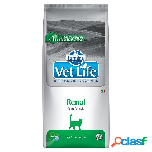 Farmina Vet Life Cat Renal 2 kg