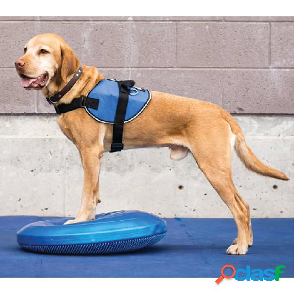 FitPAWS Disco per lAllenamento dellEquilibrio per Cani 36 cm