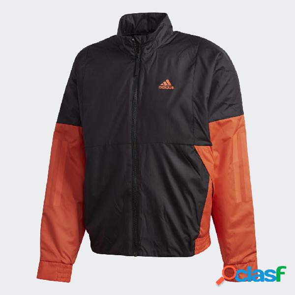 Giacca Back to Sport Lite Insulated