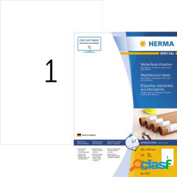 Herma 4379 Etichette A4 210 x 297 mm Carta, impermeabile