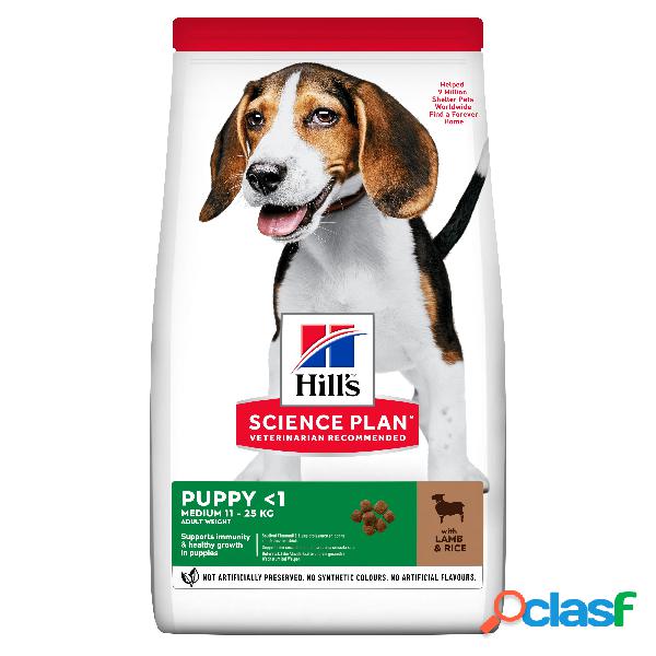 Hill's Science Plan Dog Medium Dog Puppy con Agnello e Riso