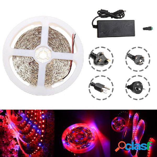 Impermeabile 5M Rosso: Blu 5: 1 SMD5050 Spettro completo LED