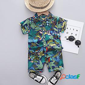 Kids Boys' Shirt Shorts Clothing Set Short Sleeve 2 Pieces