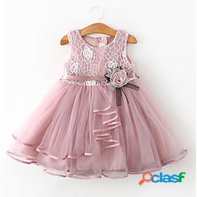 Kids Little Girls' Dress Florals Flower Birthday Casual