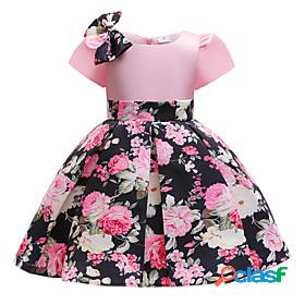 Kids Little Girls Dress Flower Causal Pleated Print Blushing