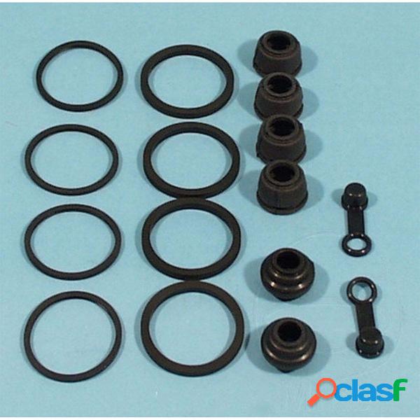Kit revisione pinza freno 717.09.47