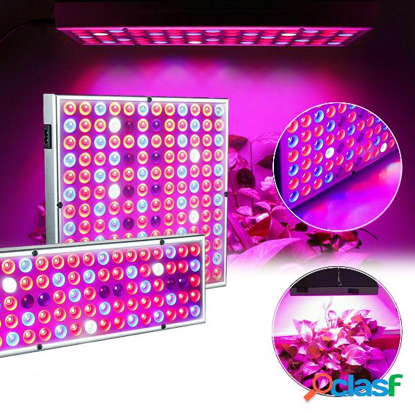 LED Grow Light Hydroponic Full Spectrum Pianta da fiore