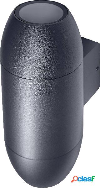 LEDVANCE Endurac Classic Cannon Updown 4058075554498 Lampada