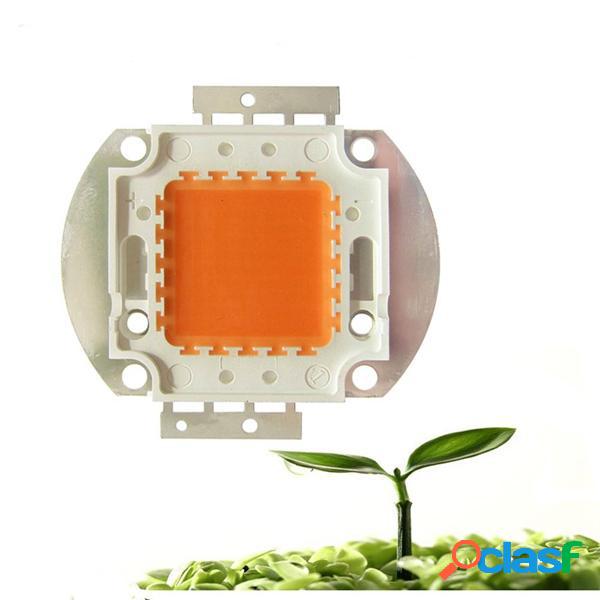 Lo spettro completo di 20W 30W 50W 30mil coltiva la chips