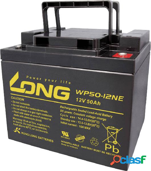 Long WP50-12NE WP50-12NE Batteria al piombo 12 V 50 Ah