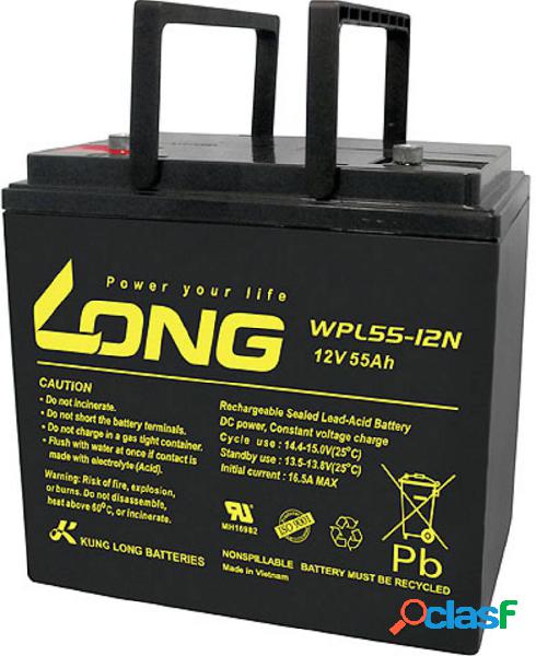 Long WPL55-12 WPL55-12 Batteria al piombo 12 V 55 Ah