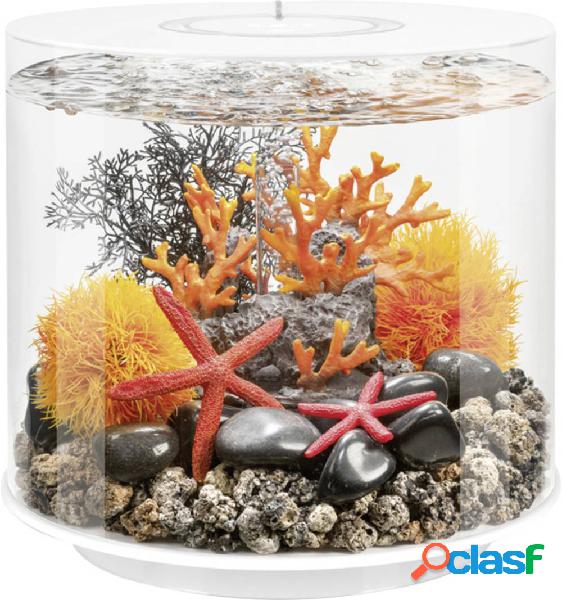 OASE biOrb 86365 biOrb Decor Set Orange Flames Decorazione