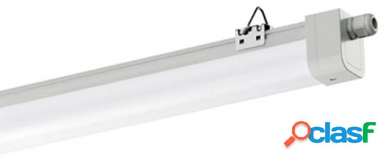 OSRAM Lampada LED impermeabile LED (monocolore) LED a