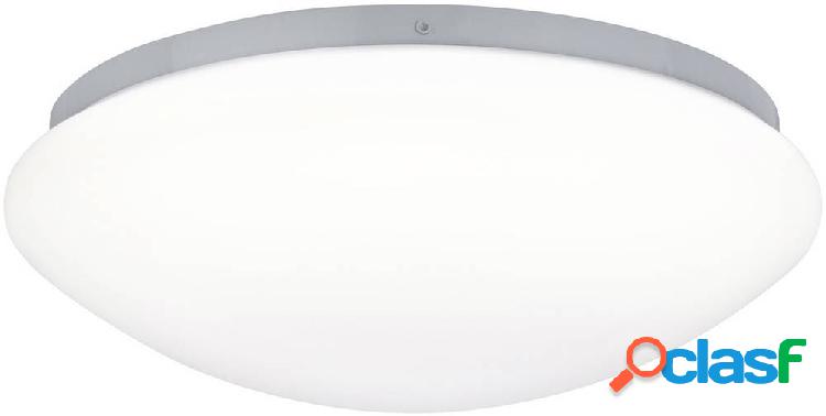 Paulmann 70980 Lampada da parete a LED 10 W Bianco neutro