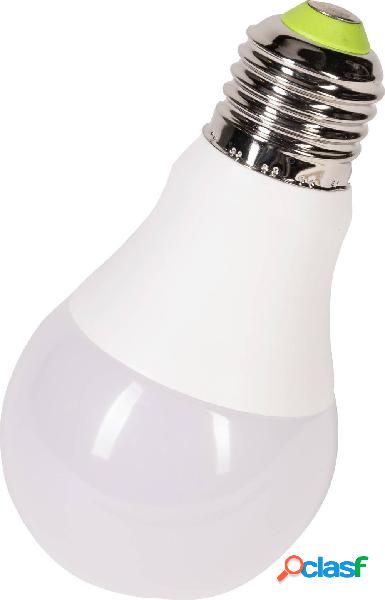 Phaesun 360271 Lux Me 7W neutralweiß Lampada LED